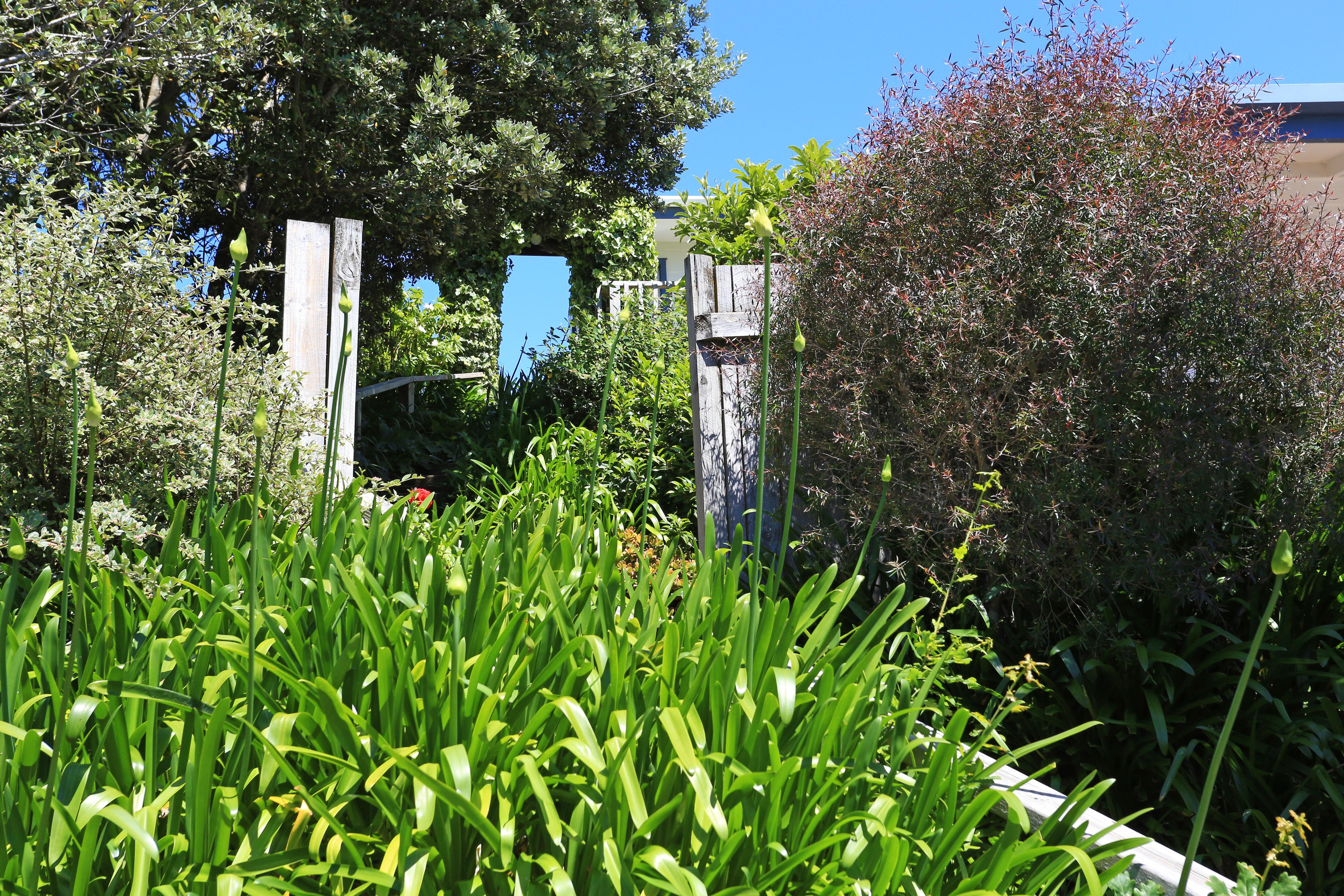 Waiheke Island Motel Ostend Luaran gambar